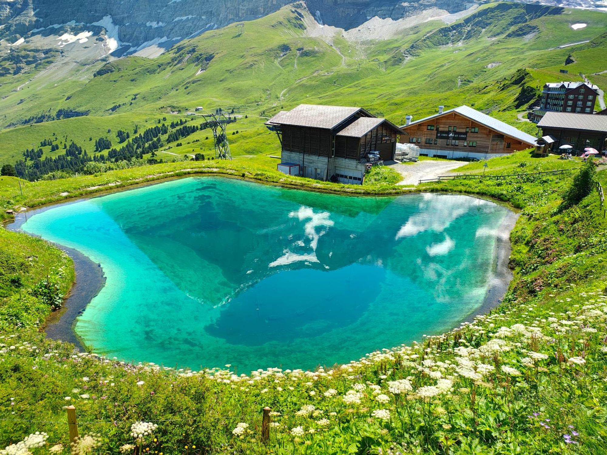 Chalet Schwendiboden Grindelwald Ngoại thất bức ảnh