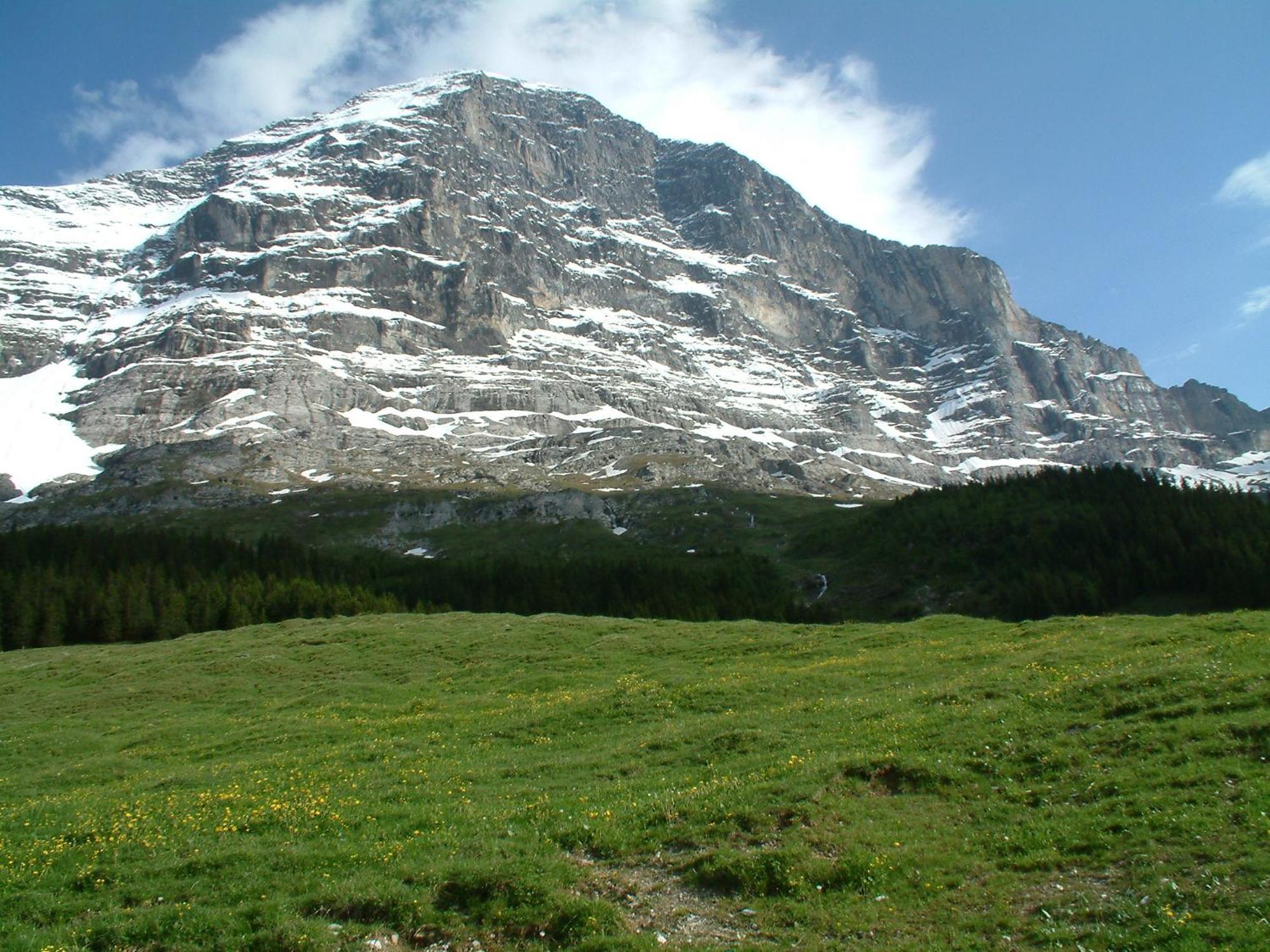Chalet Schwendiboden Grindelwald Ngoại thất bức ảnh