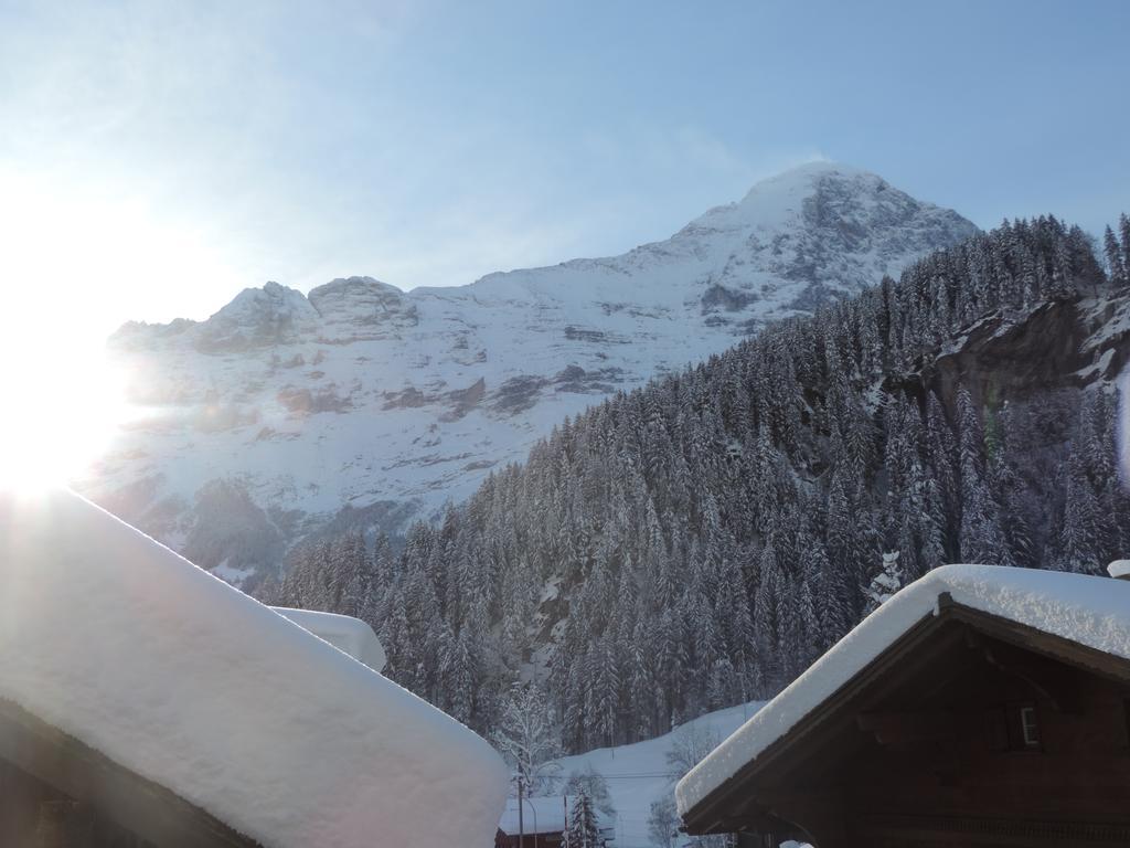 Chalet Schwendiboden Apartment Grindelwald Ngoại thất bức ảnh