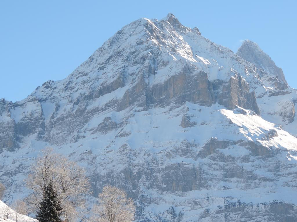 Chalet Schwendiboden Grindelwald Ngoại thất bức ảnh
